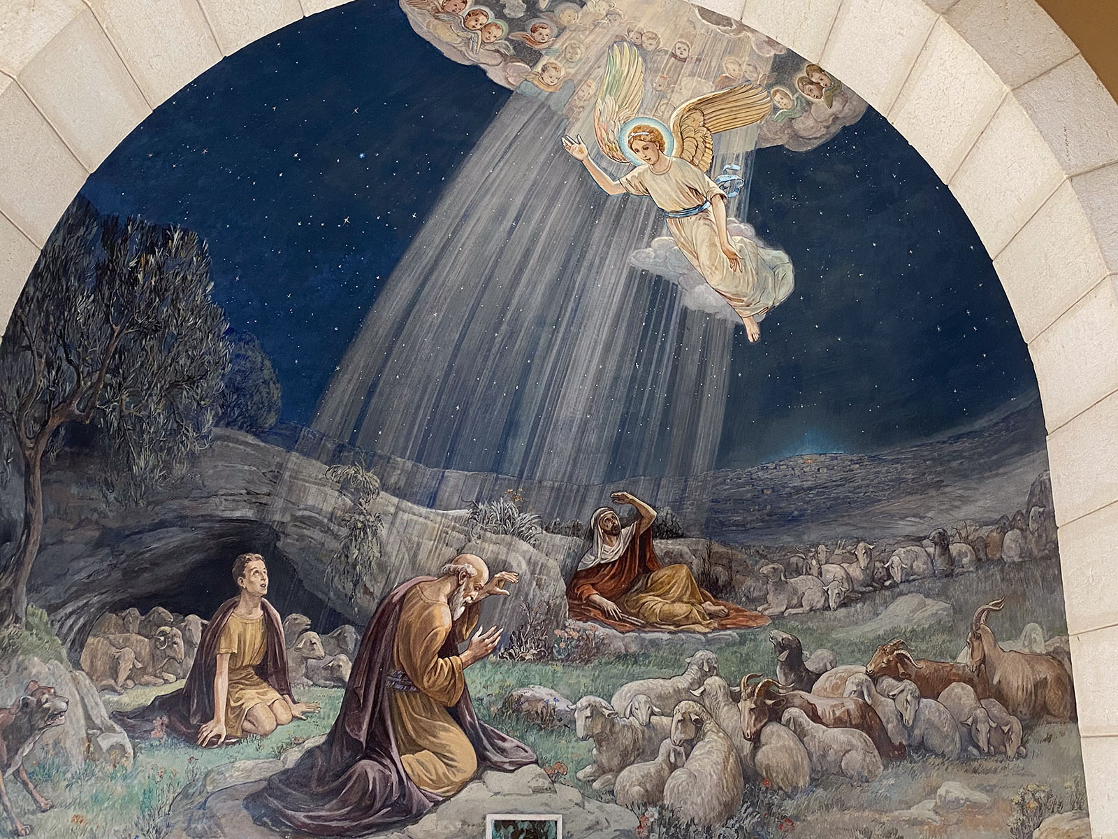 Shepherds' Field
