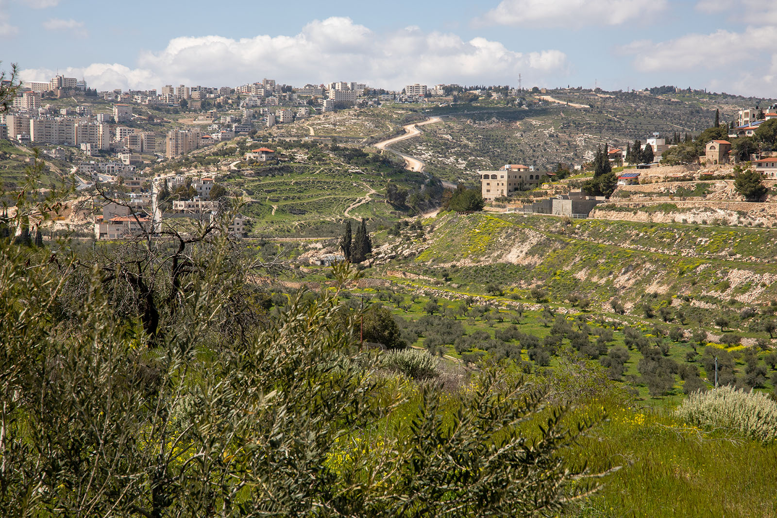 Shepherds' Field