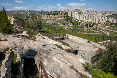 Shepherds' Field