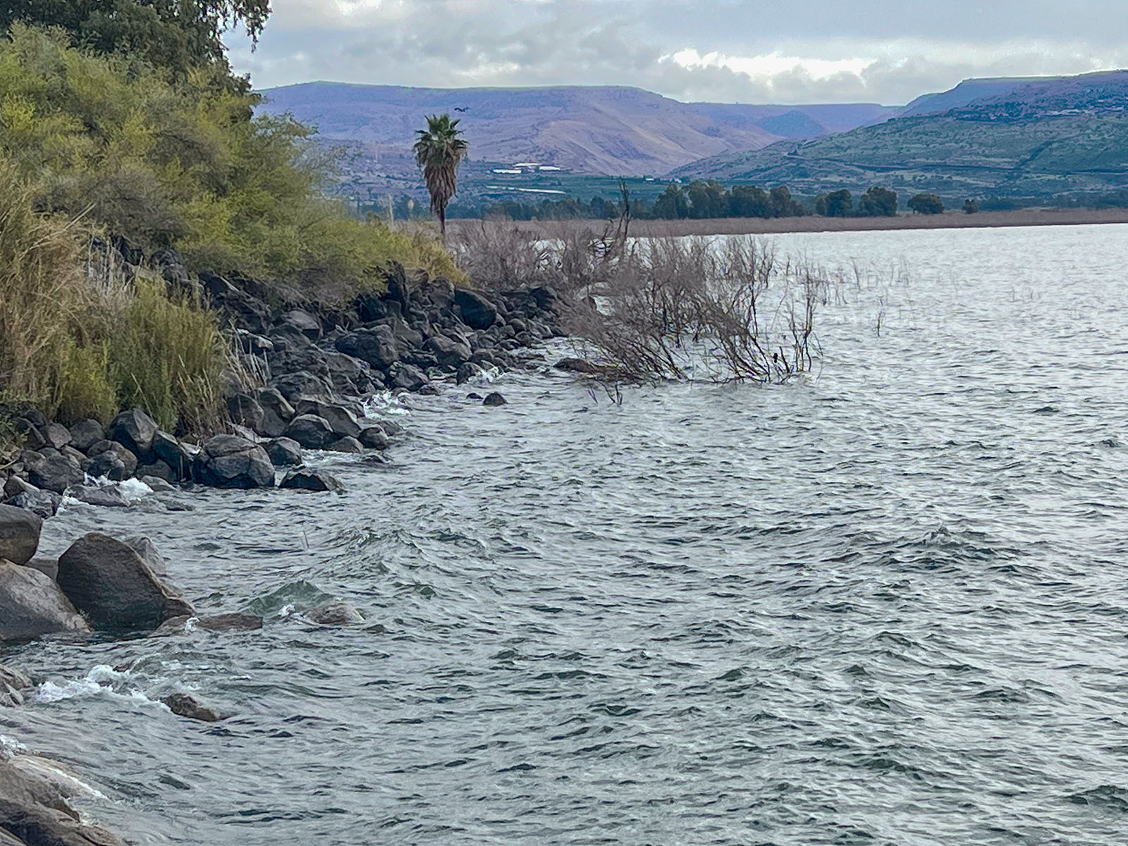 Capernaum - Shoreline